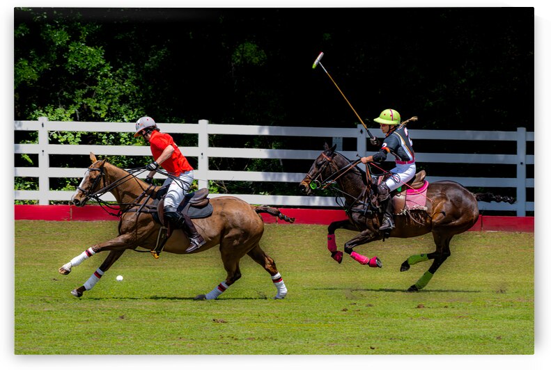 BZ9 2613 Enhanced NR 1711541216.1639 by Susan Lynn Cooke