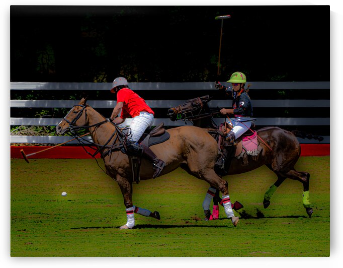 BZ9 2624 Enhanced NR by Susan Lynn Cooke