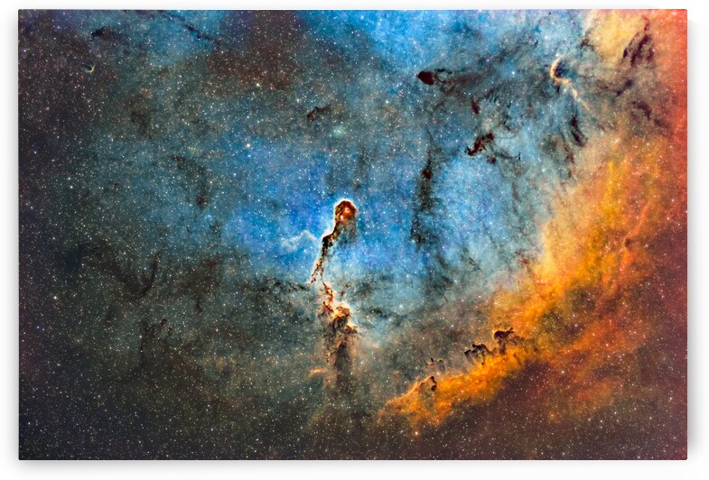 IC 1396   - The Elephants Trunk Nebula in SHO by Wilmoth Photography