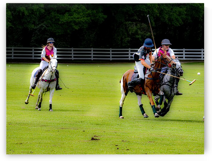 BZ9 9613 Enhanced NR by Susan Lynn Cooke