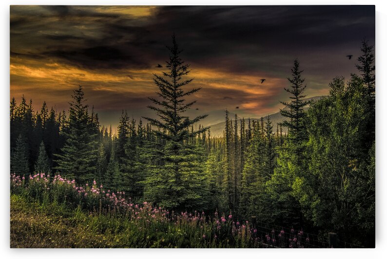 Banff Summer Sunset by Norma Brandsberg Photography