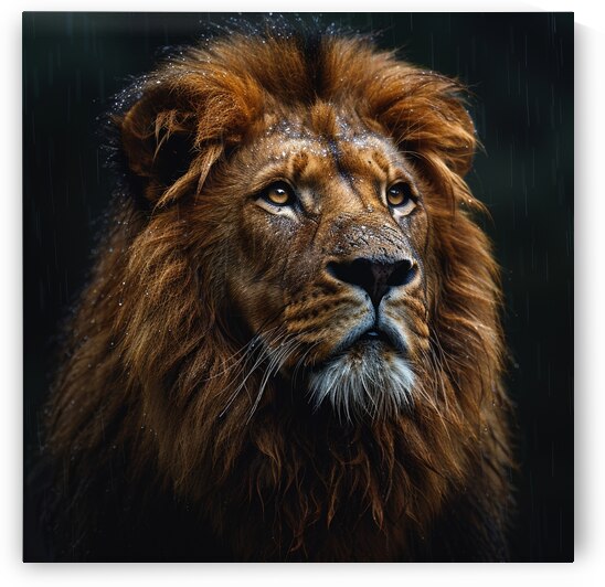 Safari King by rizu_designs