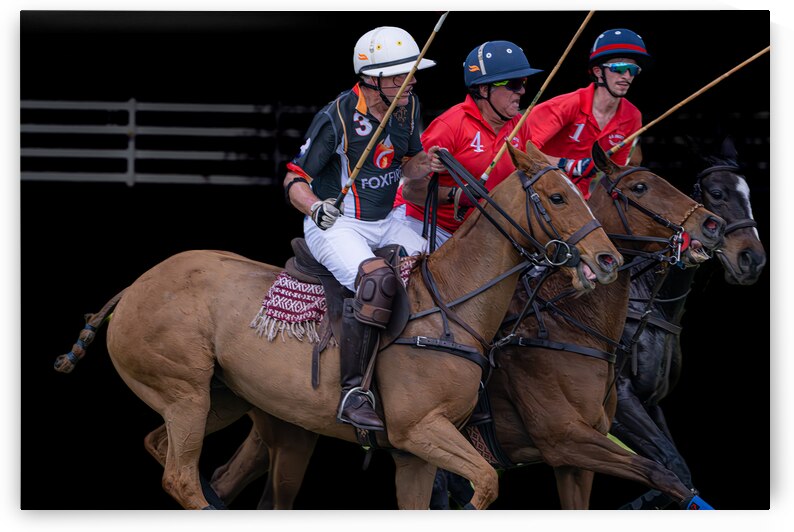 BZ9 4143 Enhanced NR by Susan Lynn Cooke