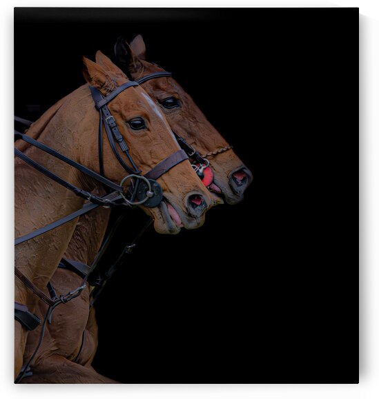 BZ9 4151 Enhanced NR by Susan Lynn Cooke