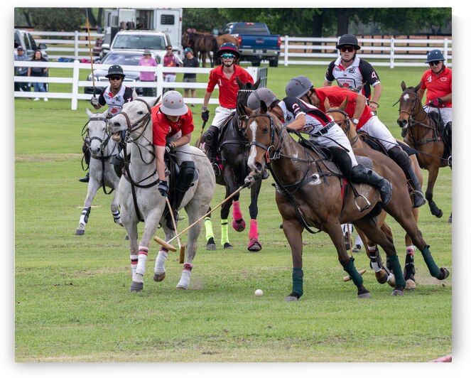 BZ9 9034 Enhanced NR by Susan Lynn Cooke