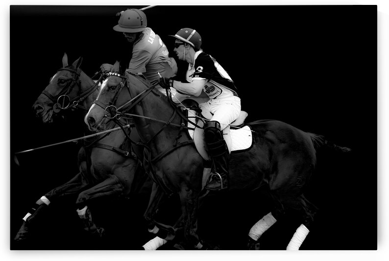 BZ9 9355 Enhanced NR by Susan Lynn Cooke