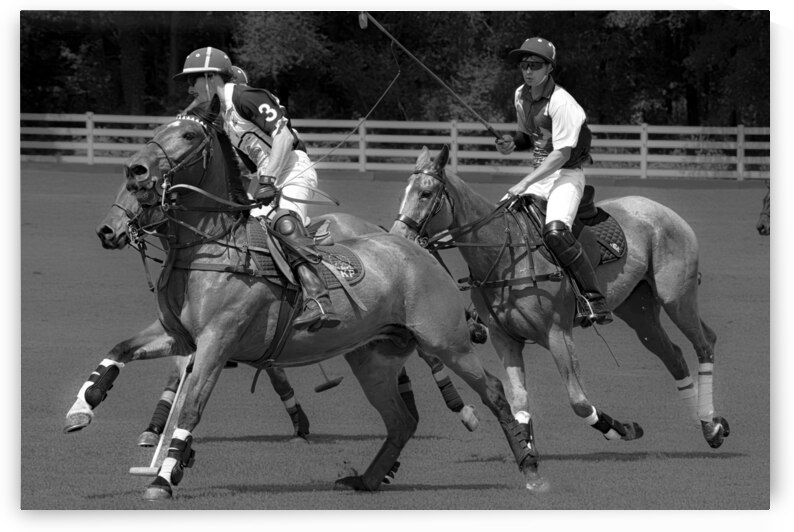 BZ9 5215 Enhanced NR by Susan Lynn Cooke