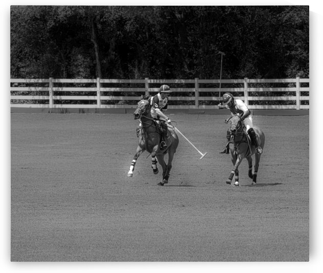 BZ9 5186 Enhanced NR by Susan Lynn Cooke