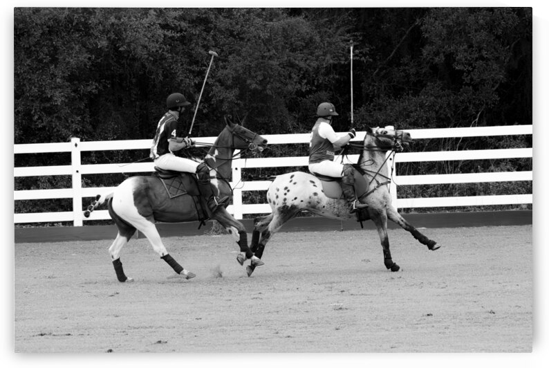 BZ9 9445 Enhanced NR by Susan Lynn Cooke