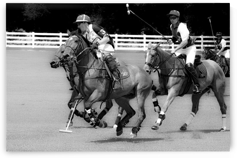 BZ9 5213 Enhanced NR by Susan Lynn Cooke