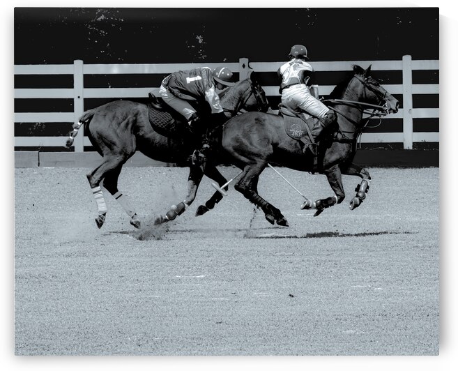 BZ9 5732 Enhanced NR by Susan Lynn Cooke