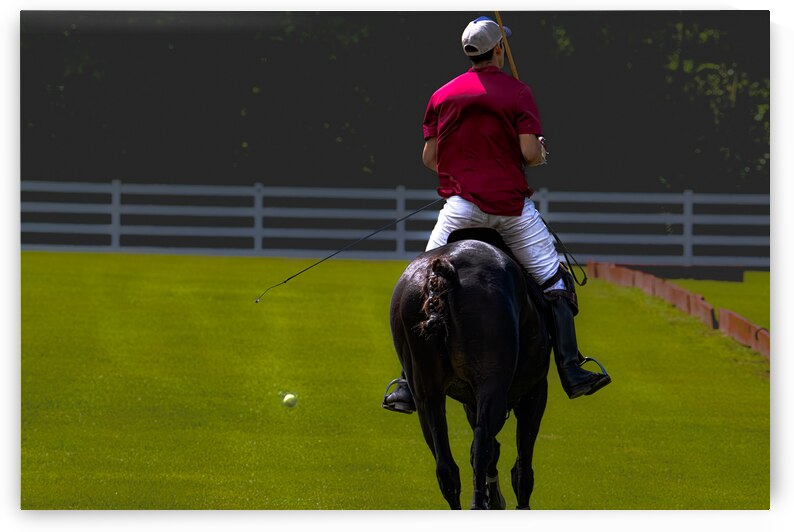 BZ9 9748 Enhanced NR by Susan Lynn Cooke