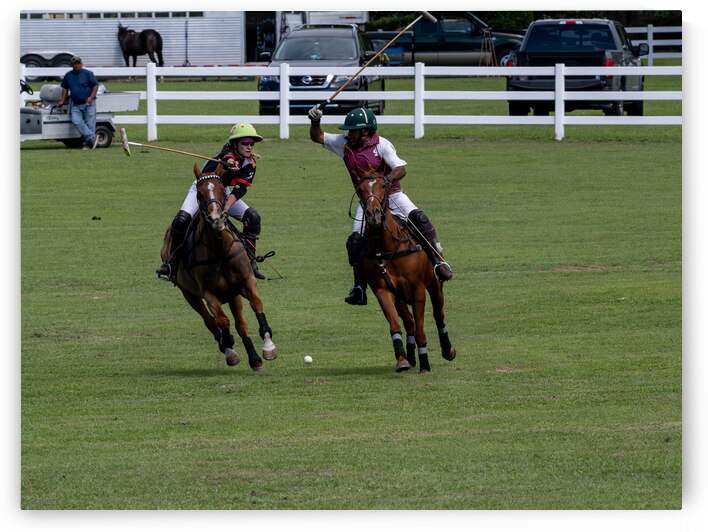 BZ9 9702 Enhanced NR by Susan Lynn Cooke