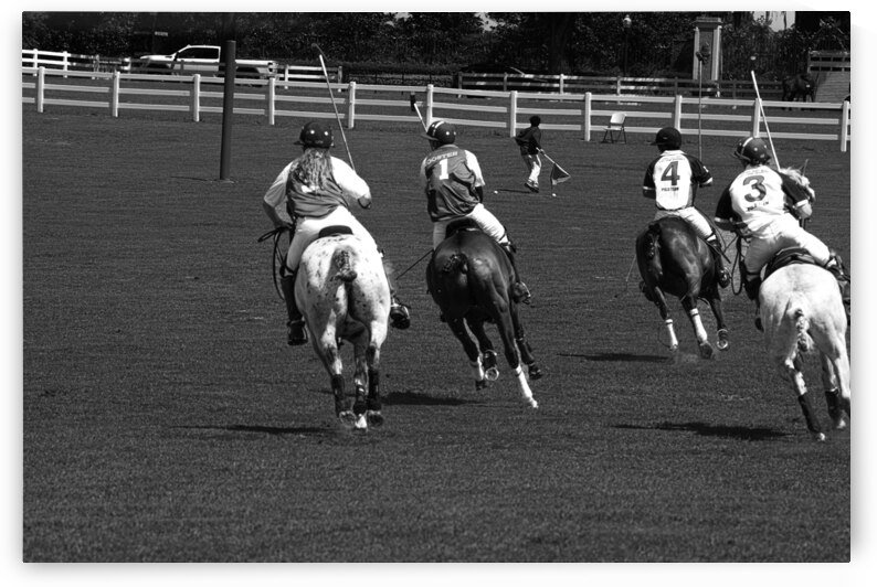 BZ9 5921 Enhanced NR by Susan Lynn Cooke