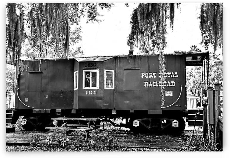 Port Royal Railroad Black And White by Lisa Wooten Photography