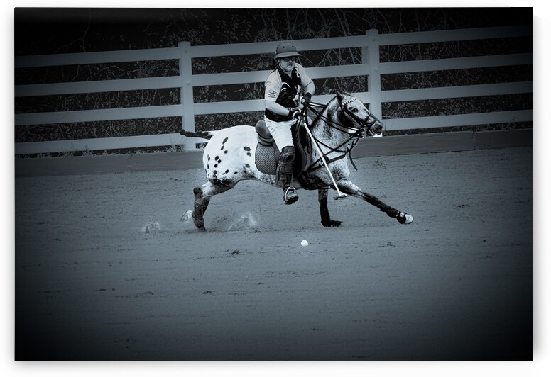 BZ9 9462 Enhanced NR by Susan Lynn Cooke