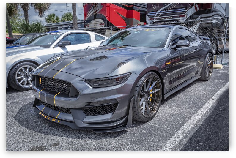 2016 Gray Ford Shelby Mustang GT350 X 1 by Rich Franco