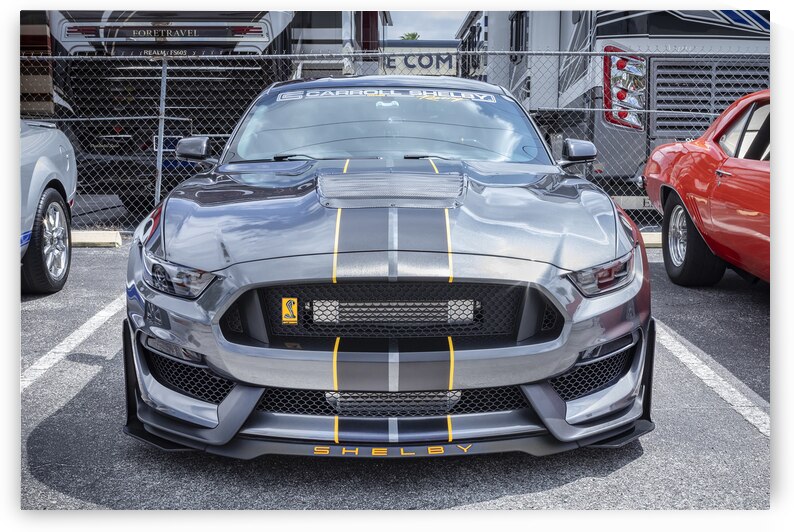 2016 Gray Ford Shelby Mustang GT350 X 4 by Rich Franco