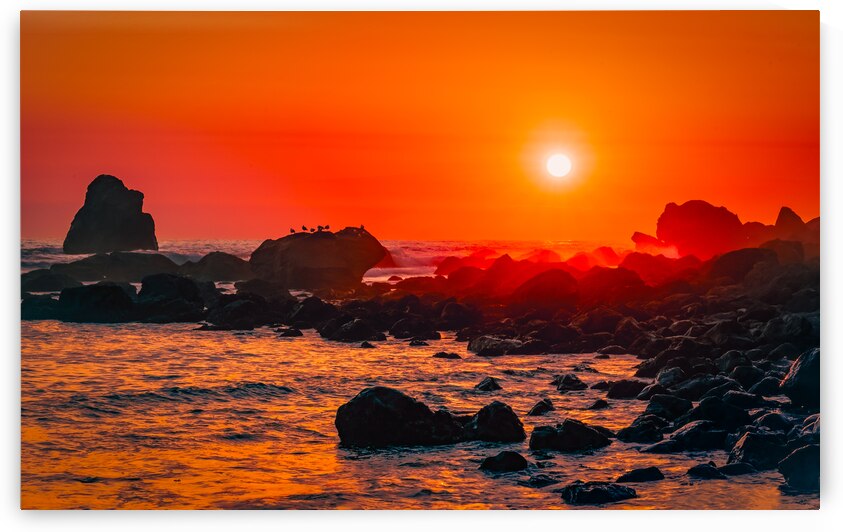 Ocean Sunset by Geoffrey Prior