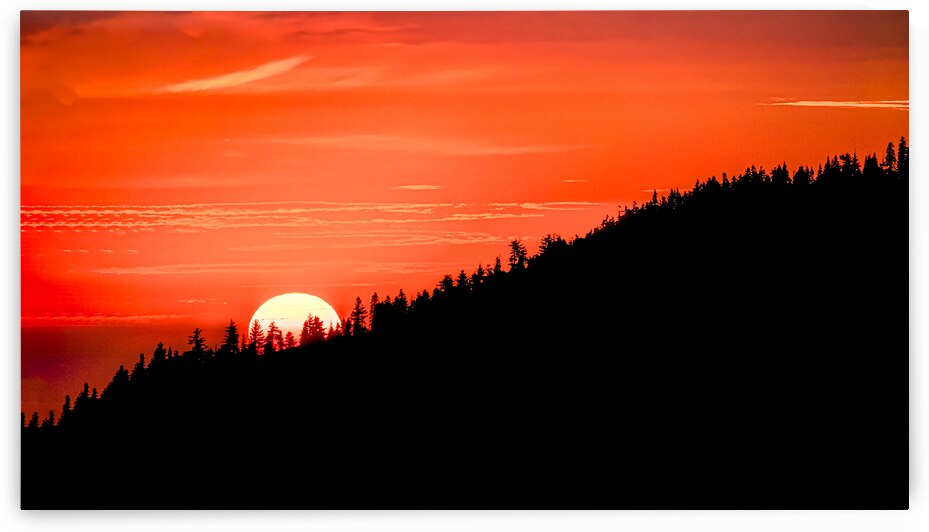 Last Light in Sequioa by Geoffrey Prior