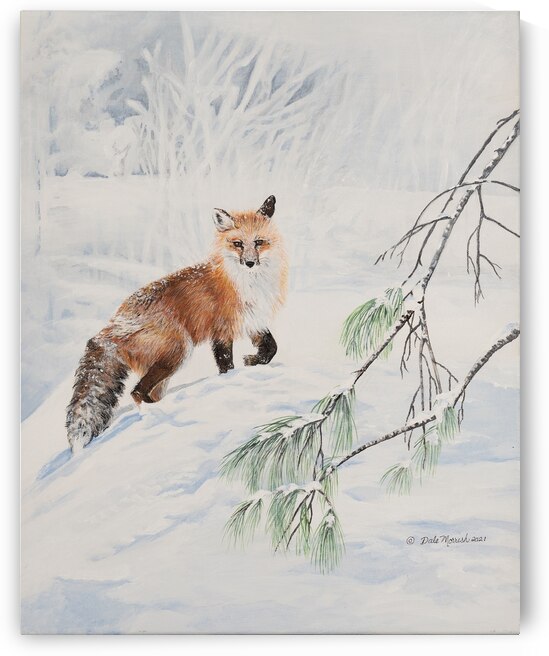 Winter Fox - Painting by Dale Morrish