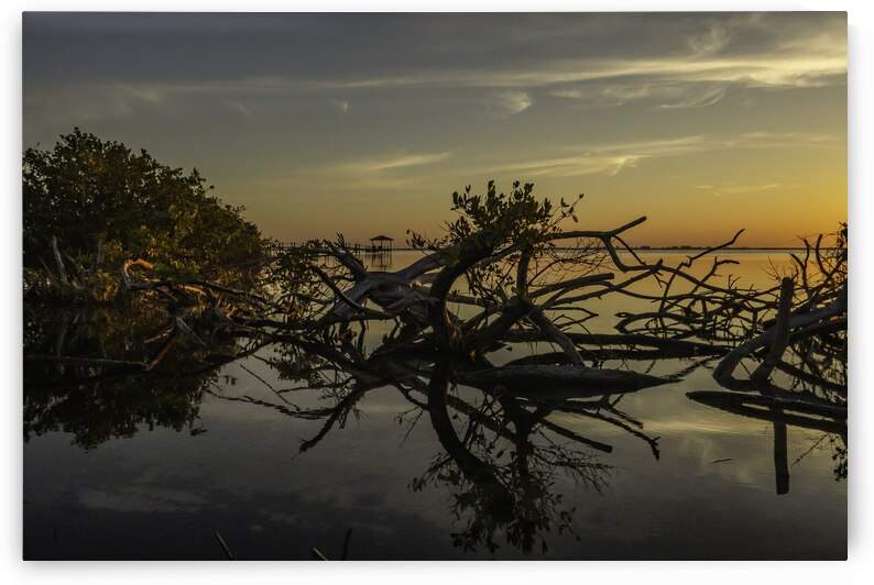 Sticks by Kai Hoskins