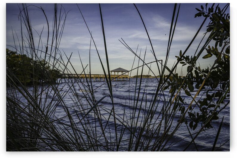 Through the grass by Kai Hoskins