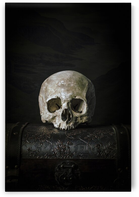skull on old trunk  by Gualtiero Boffi