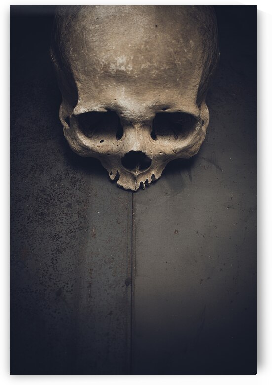 human skull on metal  by Gualtiero Boffi