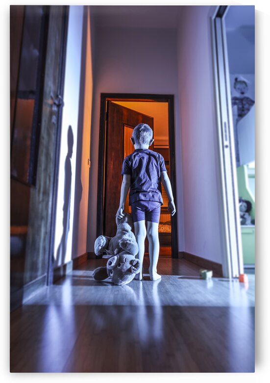 child with teddy bear in a domestic place by Gualtiero Boffi