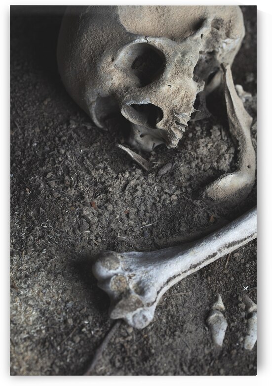 skull and human bones buried  by Gualtiero Boffi