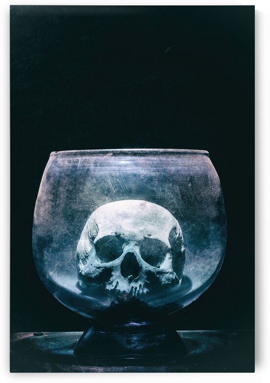 human skull in glass ampoule by Gualtiero Boffi