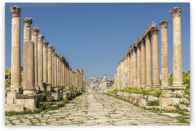 Roman columns in amman by Gualtiero Boffi