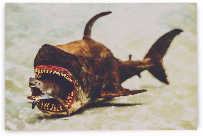Shark eat Shark by Jorgo