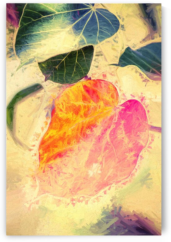 Leaves of impressionism by Jorgo