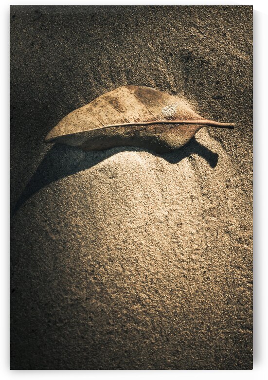 The desert burial by Jorgo