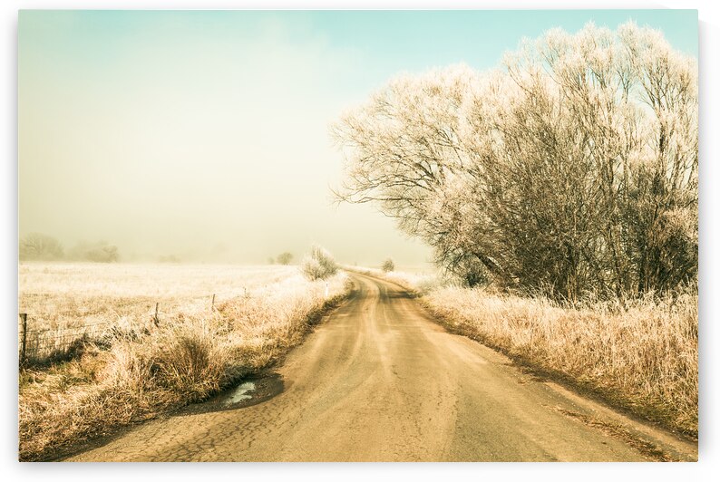 Winter road wonderland by Jorgo