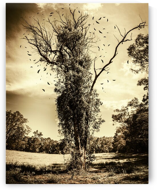 Mourning tree by Jorgo