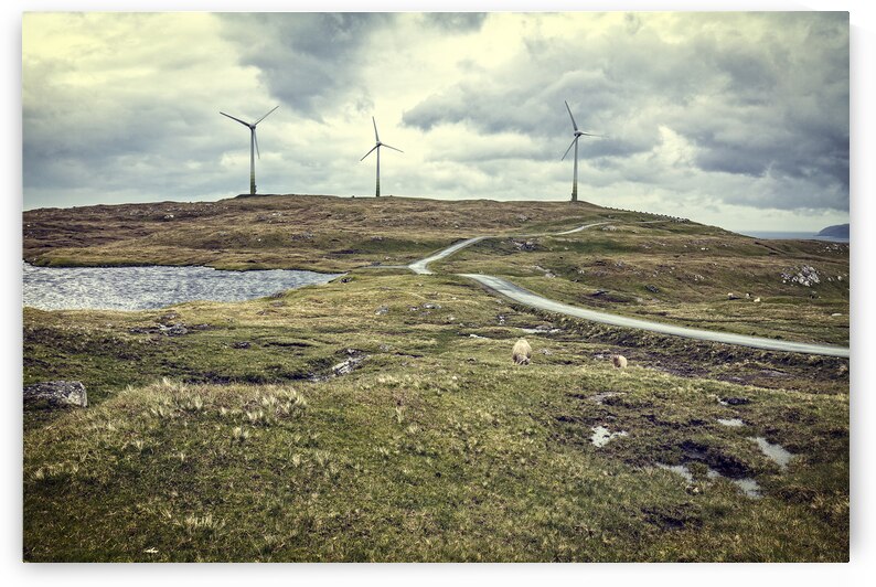 farm wind in faroe  by Gualtiero Boffi