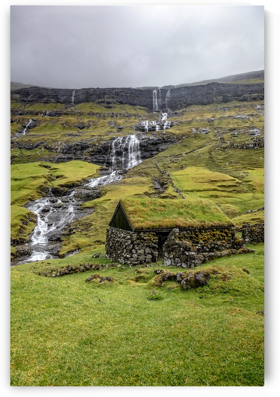 house with green roof  by Gualtiero Boffi
