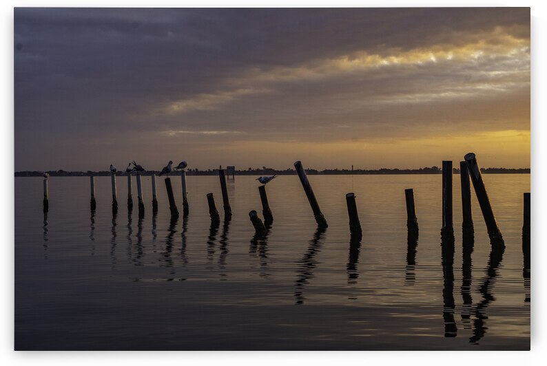 Poles by Kai Hoskins