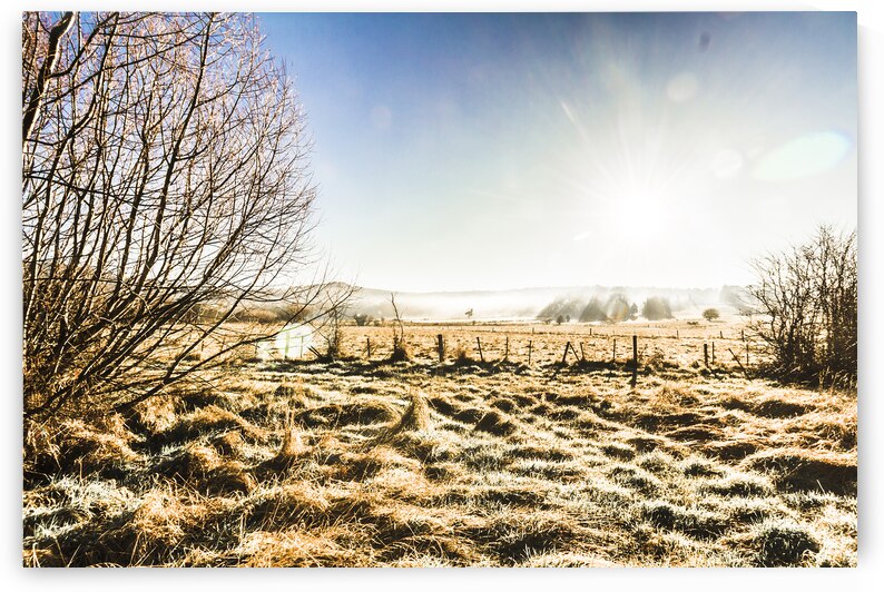 Beauty in rural winters by Jorgo