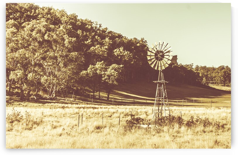 Mathinna farmyard field by Jorgo