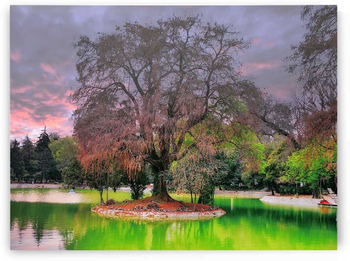 Tree in the green lake by Ehtiram Mammadov