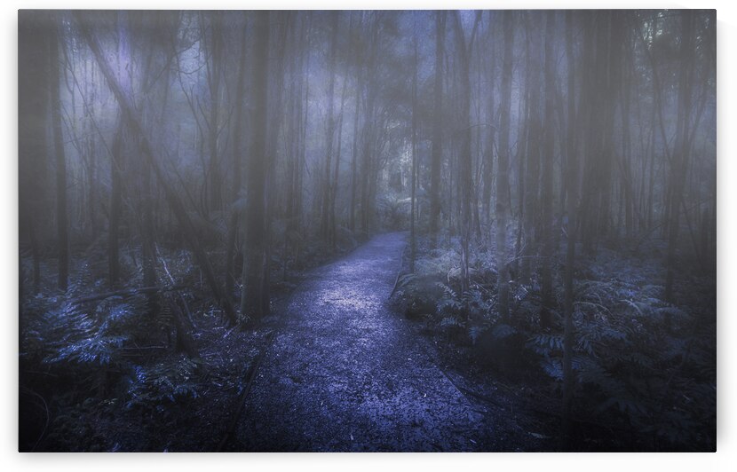 Mystery pathway by Jorgo