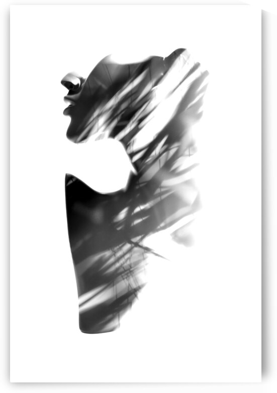 In jungles shade by Jorgo