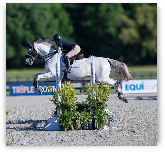 BZ9 0861 Enhanced NR by Susan Lynn Cooke