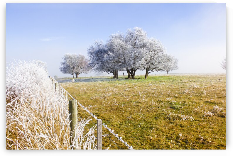 Fine art winter scene by Jorgo