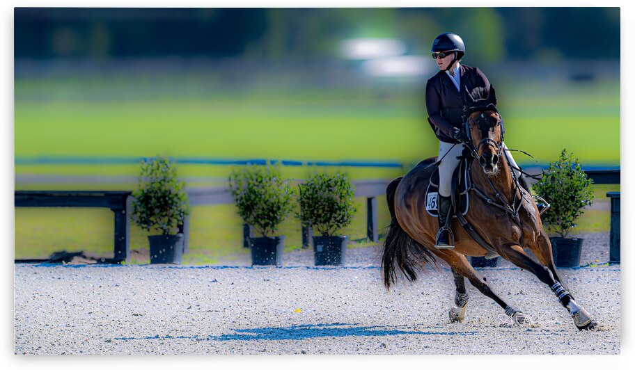 BZ9 2527 Enhanced NR by Susan Lynn Cooke