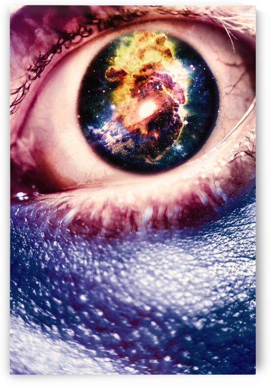 The Human Evolution by Jorgo